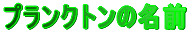 vNg̖O