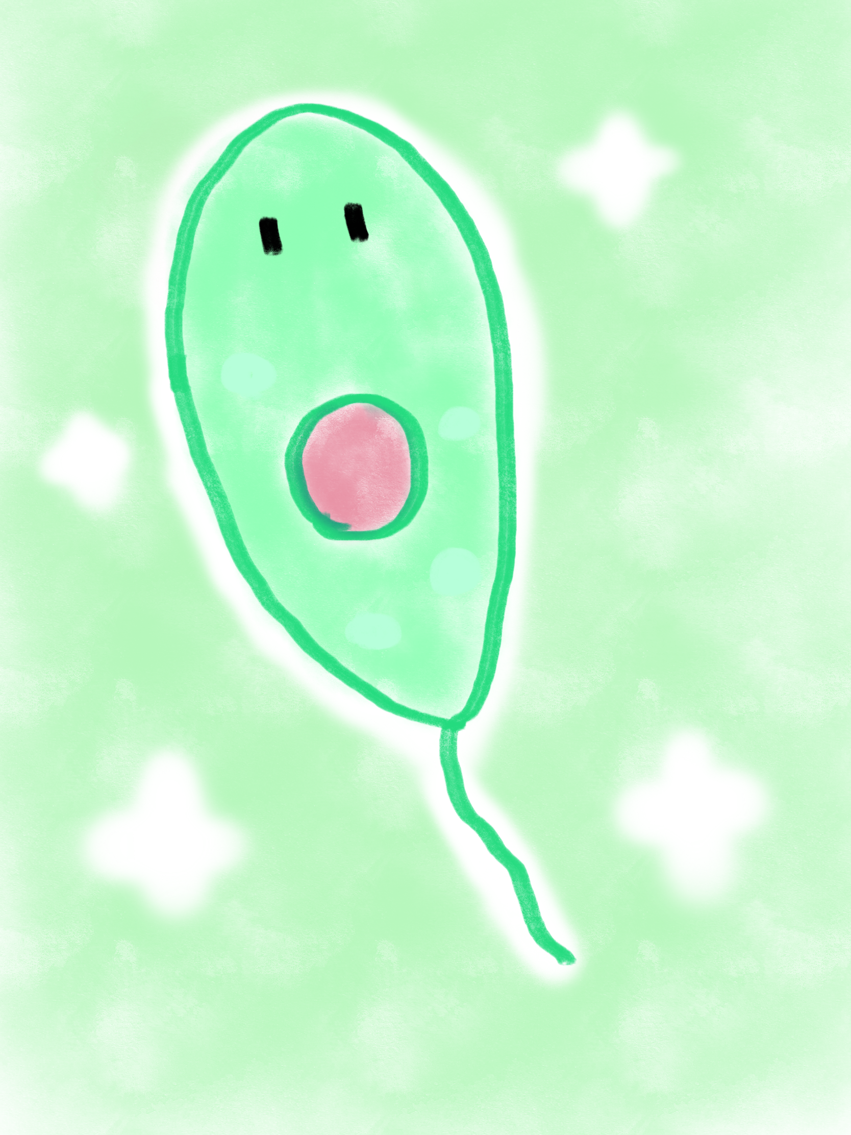 プランクトン画像