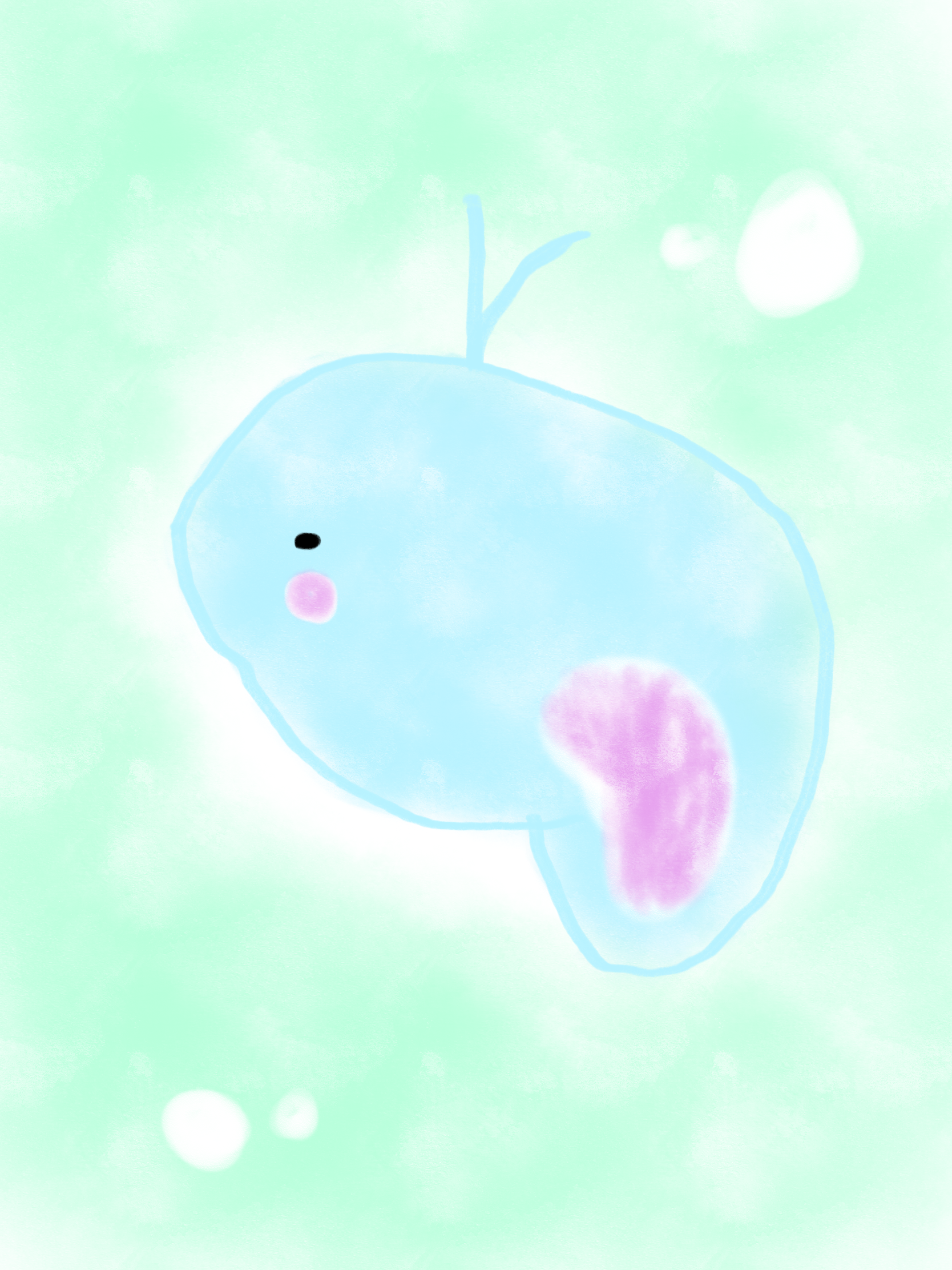 プランクトン画像